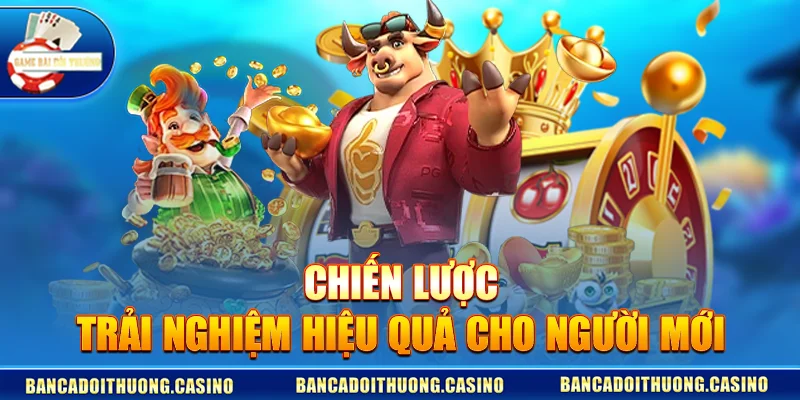 chien luoc trai nghiem hieu qua cho nguoi moi Chiến Lược Trải Nghiệm Hiệu Quả Cho Người Mới