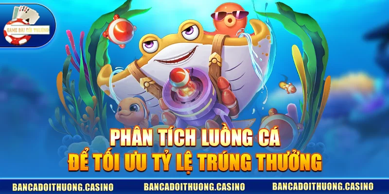 Phân Tích Luồng Cá Để Tối Ưu Tỷ Lệ Trúng Thưởng