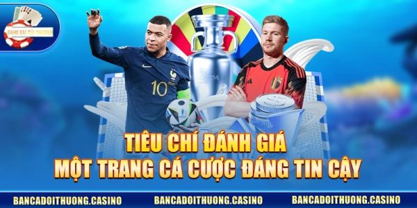 Tiêu Chí Đánh Giá Một Trang Cá Cược Đáng Tin Cậy